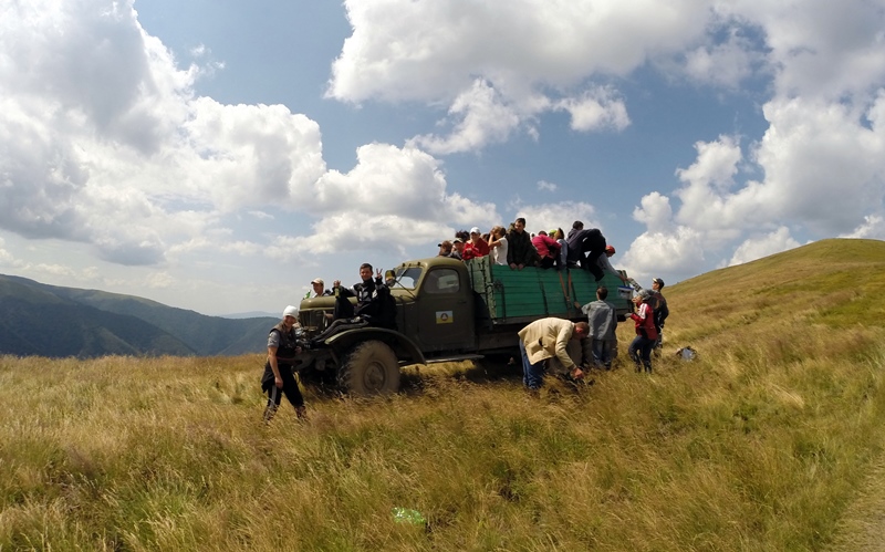 сбор черники в карпатах